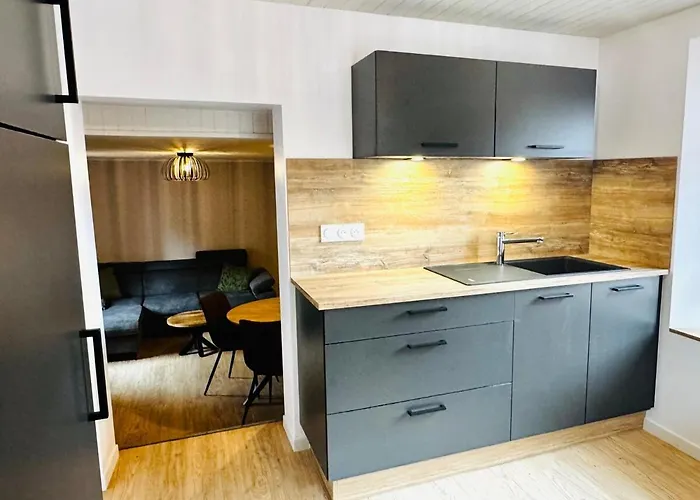 La Taniere Du Katz Appartement Dabo