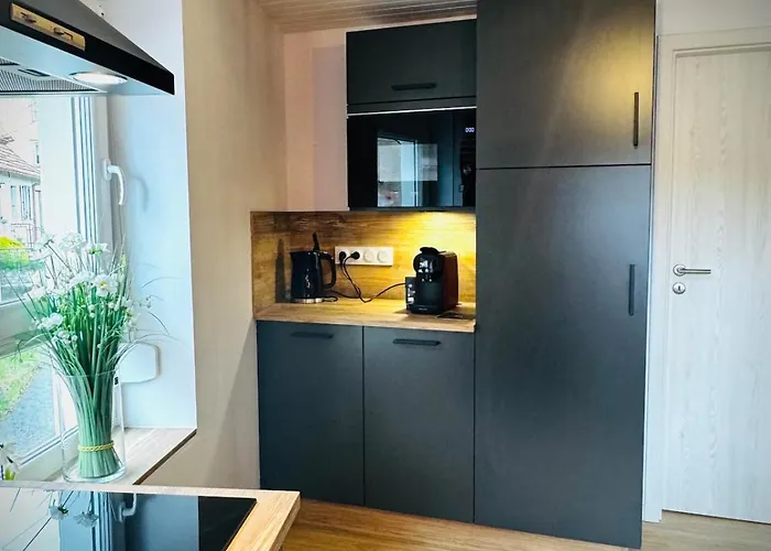 Appartement La Taniere Du Katz